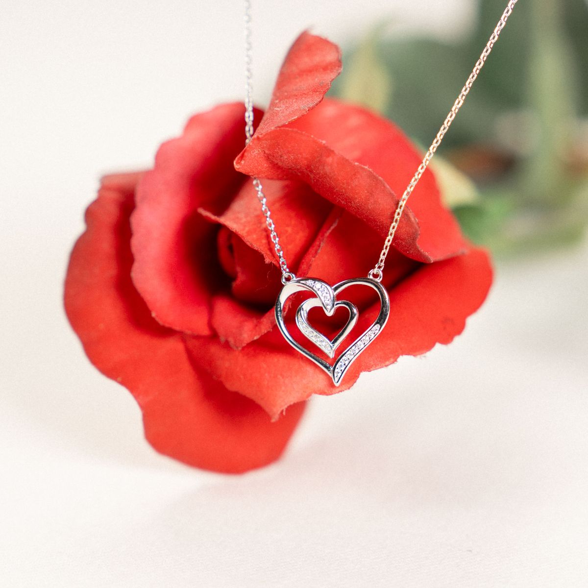 Herzkette auf roter Rose